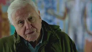 What is biodiversity? | David Attenborough: A Life On Our Planet