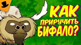 КАК ПРИРУЧИТЬ БИФАЛО В Don't Starve? НЕ, ПРАВДА, КАК?