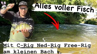 Mit Finesse Rigs am kleinen Bach | Carolina-Rig | Free-Rig | Ned-Rig | erfolgreich sein!