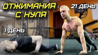 ОТЖИМАНИЯ с НУЛЯ за 21 ДЕНЬ! КАК НАУЧИТЬСЯ ОТЖИМАТЬСЯ? ОБУЧЕНИЕ.