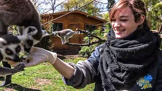 Zoo de Beauval : les nouveaux paris du plus grand zoo de France