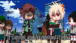 🌿🌷 If Tanjiro And Nezuko Meet Mha 🌷🌿 // ✨