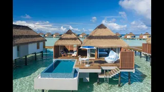 Stan Travel x 屎說馬爾地夫 ||| Pullman Maldives - Ocean Pool Villa