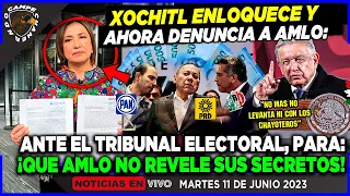 XOCHITL ENLOQUECE ¡DENUNCIAA AMLO ANTE EL TRIBUNAL ELECTORAL! PARA QUE NO REVELE SUS SECRETOS