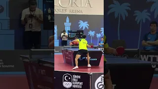 Куда Собрался? Calderano Slow Motion Movement #настольныйтеннис #tabletennis #тренировка #pingpong