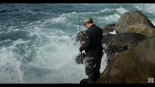 JETTY Fishing SAFETY! | Websites for Weather, Tides & Swell Forecasts!