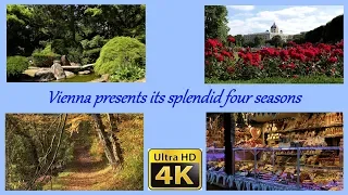 Vienna presents its splendid four seasons - UHD