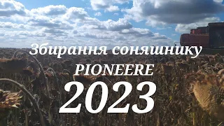 Збирання соняшнику PIONEER 2023🚜🌻 Результатом задоволені😀💪😎🇺🇦