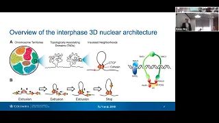 IICD Seminar Series: Aaron Viny, CUIMC