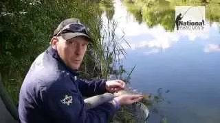 Intro to Coarse Fishing Part One - Whip Fishing