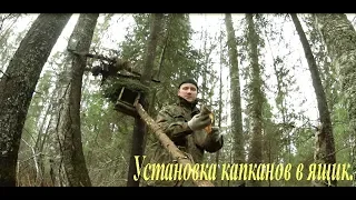 Установка проходных капканов в ящик. Installation of feed traps in the box.