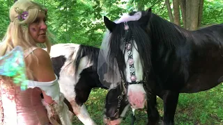 No Ads Soft music nature sounds 1 hour meditation with horses cosplay #meditation #meditationmusic