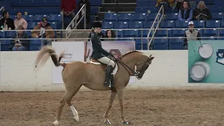 Scottsdale Arabian Class 8 Hunter Pleasure Lady & McKienna Kehl