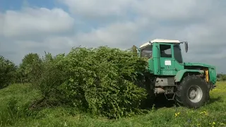 Корчеватель. Слобожанец против дерева. Трактор корчует дерево.