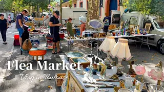 Flea Market Vlog / Beautiful Antique Tableware /Toulouse /Opera Exhibition/Candlelight Concert