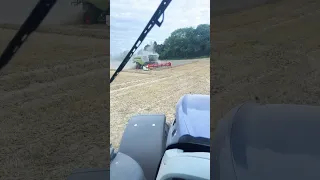 23 August 2023 The last of this years wheat, off the field. #farming #tractor