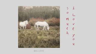 [MV] The Black Skirts - 'Big Love' Official Lyric Video | Bside