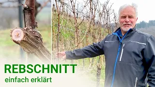 REBSCHNITT und BIEGEN erklärt - WeinWissen