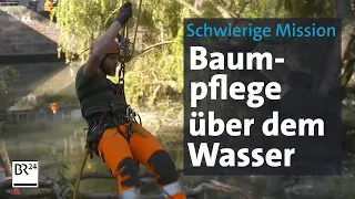 Nach Unwetter: Die Weiden müssen weg | BR24