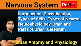 Nervous system (Part-1) In Hindi , Brain, Spinal cord, Central & Peripheral nervous system