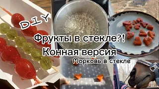 Морковка в стекле/ вкусняшки для лошади/ DIY/ Конныйдневник