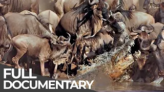 Serengeti: The Adventure | Free Documentary