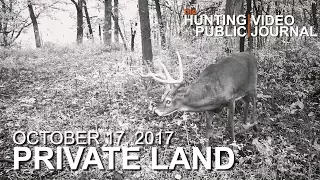 Private Land: October 17 - Hunting a Big 8, Overlooking a Scrape | The Hunting Public