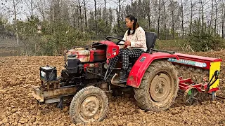 Female tractor driver Xiaofang had nothing to do at home, she go to work for the big farmers.