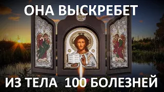 Если Бог добрый, почему мы так страдаем?. Она выскребет из тела 100 недугов.