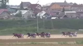 Бега-заезд для лошадей 4 лет-Емельяново 15.08.2015(Horse–Animal-racing-конь-смотреть-онлайн-скачки)