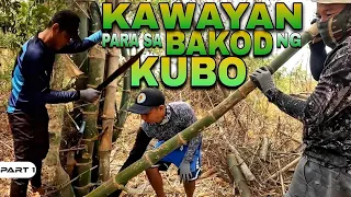 P1-NANGUHA NG KAWAYAN PAMBAKOD | Kubo Update - EP1322