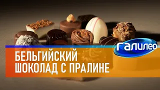 Галилео 🍫 Бельгийские шоколадные конфеты с пралине