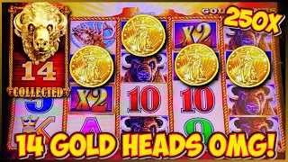 OMG! 14 Gold Heads on Buffalo Gold Collection Slot Machine! - 250X Win The most I've Collected!