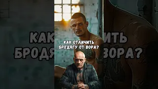 Как отличить бродягу от вора?