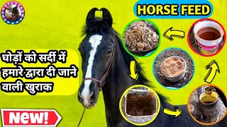 HORSE FEED || DEV STUD FARM