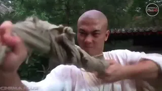 THE TAI CHI MASTER, JET LI