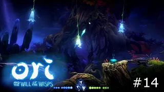 ПОДЛУННЫЕ НОРЫ И ОТРАЖЕНИЕ ► Ori and the Will of the Wisps ► #14