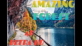 4K Drone Footage | Bird,s Eye View of Germany,Europ,Italy | Relaxation Flim With Calming Music