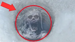 These creatures are frozen in the ice.