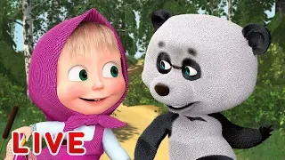 Masha and the Bear 🎬💥 LIVE STREAM 💥🎬 All episodes for kids 👶 Cartoon live best episodes