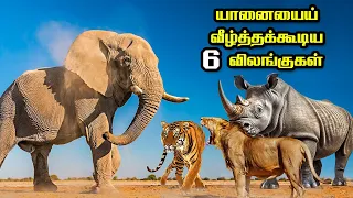 Dangerous & Deadliest Animals that can defeat an Elephant | யானையைய் வீழ்த்தகூடிய 6 விலங்குகள்