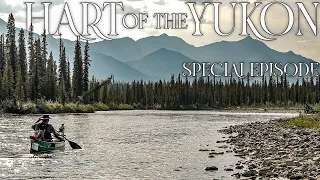 Hart of the YUKON - 14 Days Solo Camping in the Yukon Wilderness - Special Episode