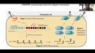 FIND webinar series: insights on Feluda (CRISPR based SARS-CoV-2 test)