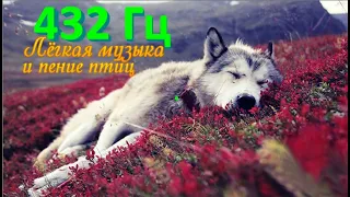 432 Гц - лёгкая музыка под пение птиц/432 Hz - Easy Music and Birdsong's