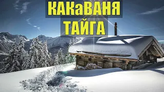 СЛУЧАЙ в ТАЙГЕ ЛЕСНАЯ ИЗБА КАК ЖИВУТ ЛЮДИ в ГОРАХ ОХОТА БРАКОНЬЕРЫ ОТШЕЛЬНИК СУДЬБА