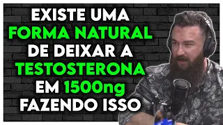 COMO AUMENTAR A TESTOSTERONA SEM USAR AS PARADINHAS? DE FORMA NATURAL, SEM HORMÔNIOS ESTERÓIDE