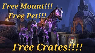 ESO - Do This To Unlock A FREE Mount, Pet & Crates!