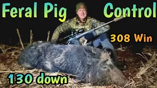 130 PIGS IN 3 NIGHTS • 308 BOLT ACTION • AUSTRALIA