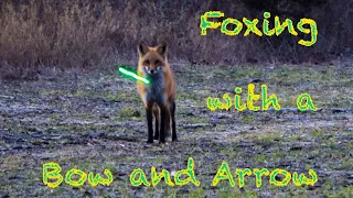 Fox Calling Fun