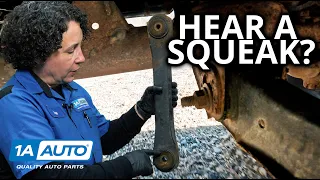 Squeaking Noise When You Go Over Bumps in Your Car or Truck? An Easy DIY Suspension Repair!